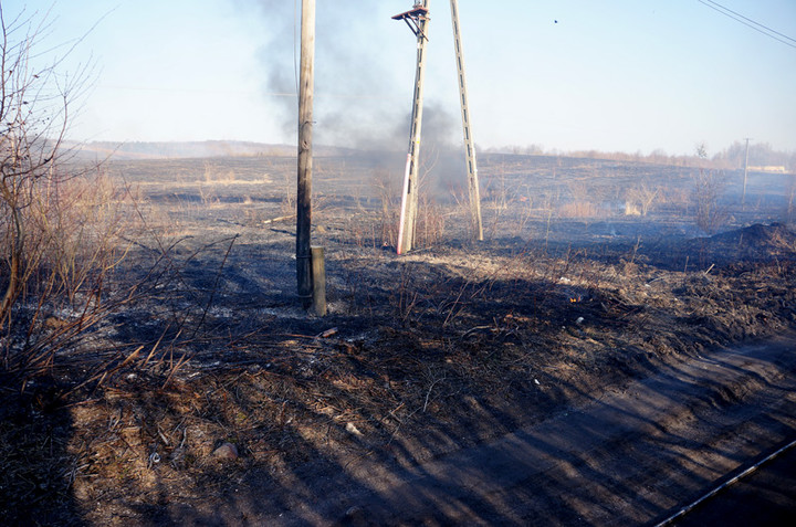 Płoną trawy! zdjęcie nr 68319