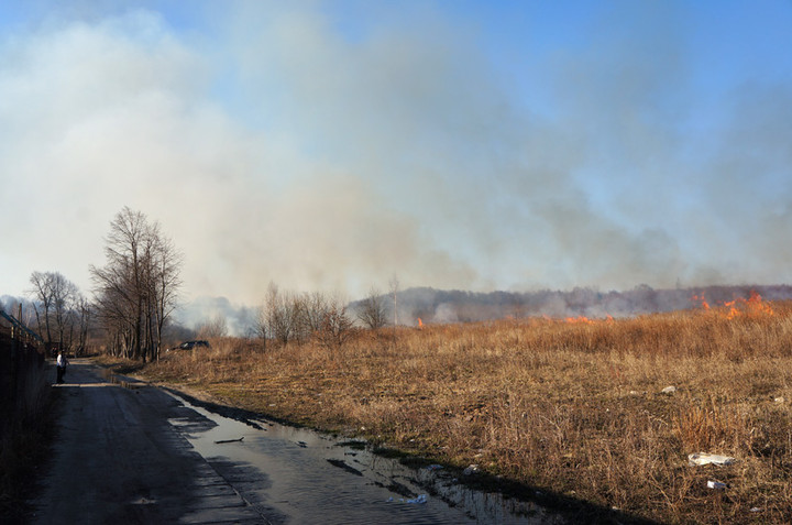 Płoną trawy! zdjęcie nr 68313