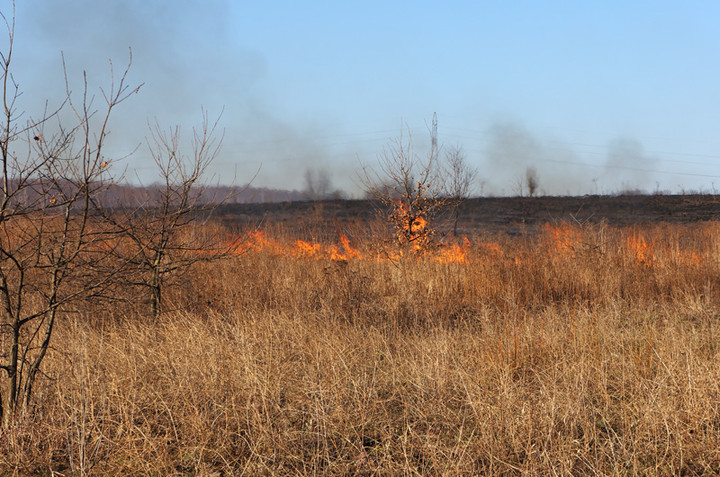 Płoną trawy! zdjęcie nr 68310