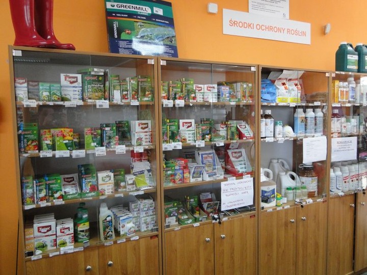 MGarden - Twoj ogród naszą pasją! zdjęcie nr 68401