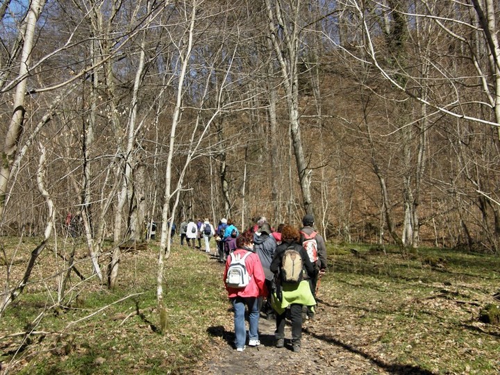 Na Szlaku Kopernika z PTTK zdjęcie nr 68603