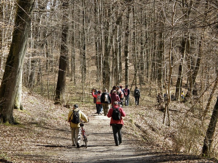 Na Szlaku Kopernika z PTTK zdjęcie nr 68599