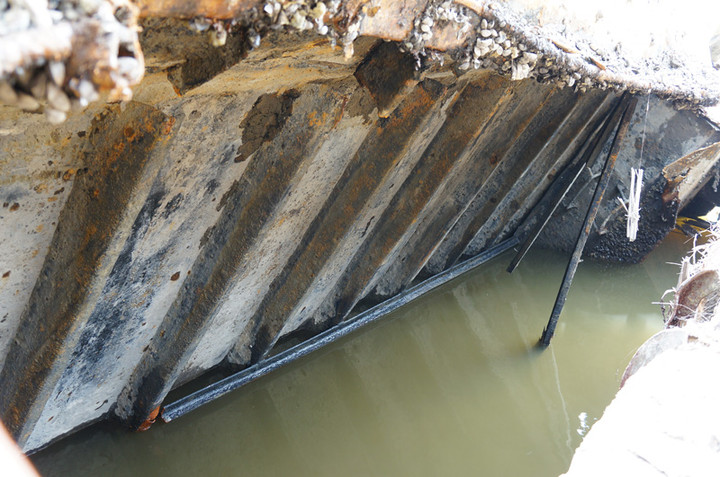 Wyłowiona barka przy brzegu zdjęcie nr 68756