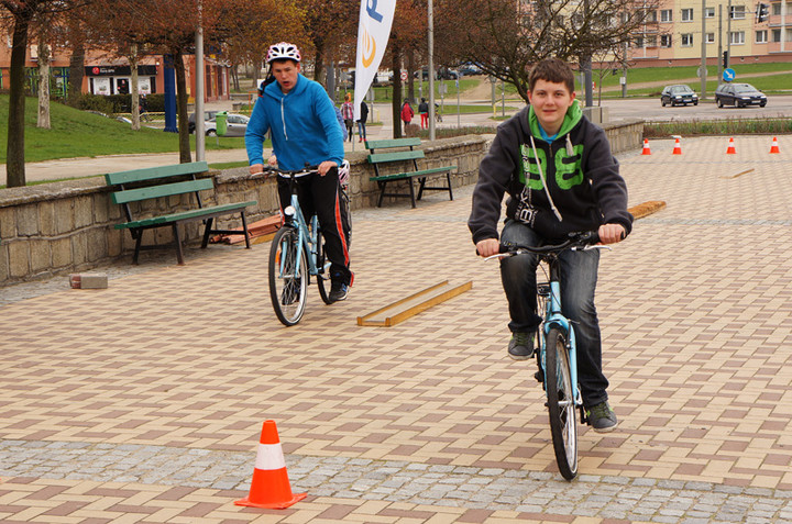 Żonkilowe Pola Nadziei zdjęcie nr 68777