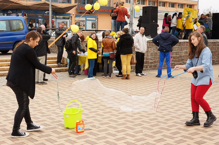 Żonkilowe Pola Nadziei zdjęcie nr 68782