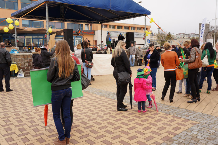 Żonkilowe Pola Nadziei zdjęcie nr 68765