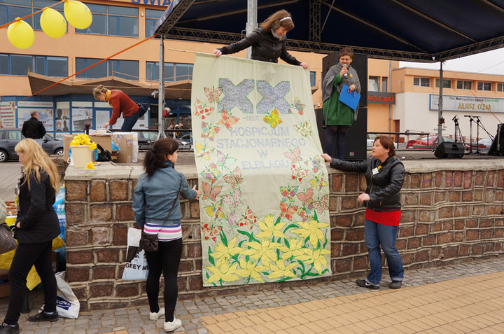 Żonkilowe Pola Nadziei zdjęcie nr 68791