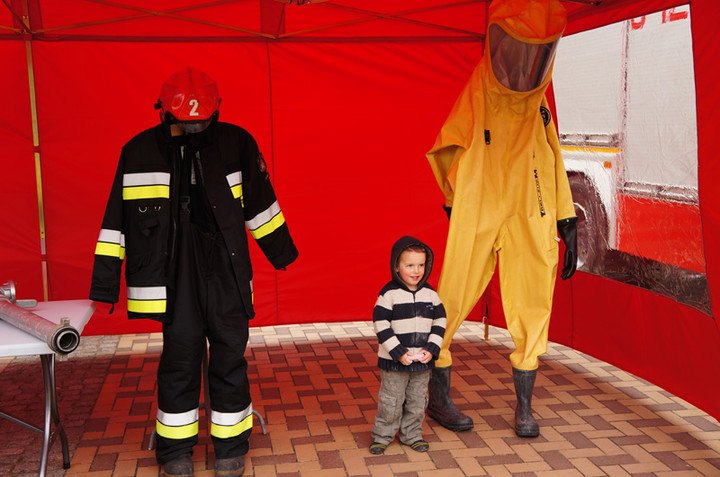 Żonkilowe Pola Nadziei zdjęcie nr 68795