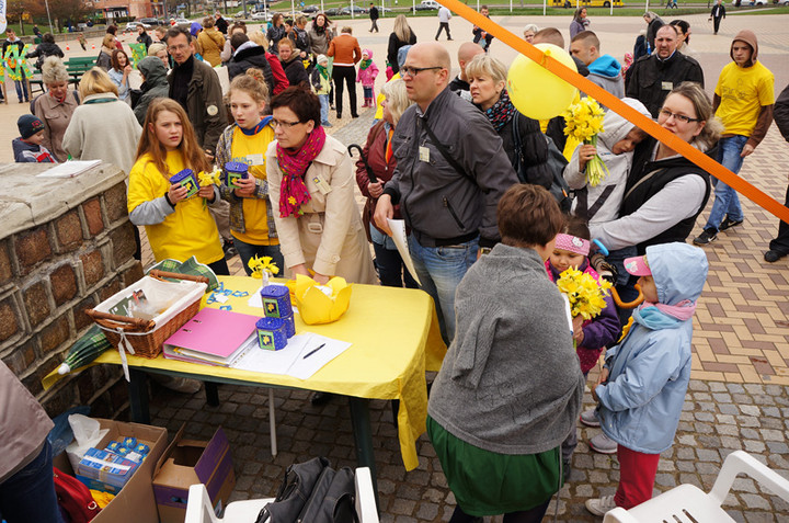 Żonkilowe Pola Nadziei zdjęcie nr 68763