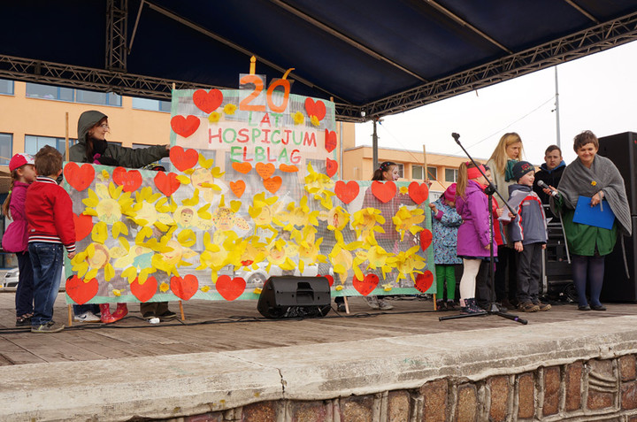 Żonkilowe Pola Nadziei zdjęcie nr 68781