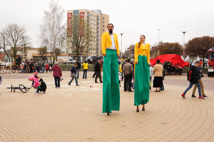 Żonkilowe Pola Nadziei zdjęcie nr 68792