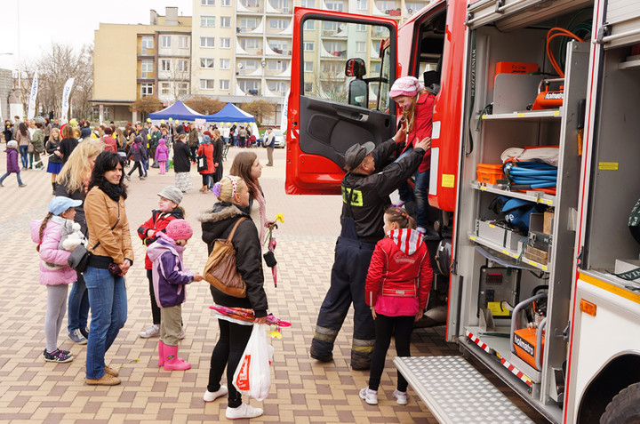 Żonkilowe Pola Nadziei zdjęcie nr 68797