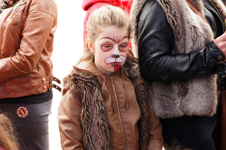 Żonkilowe Pola Nadziei zdjęcie nr 68775