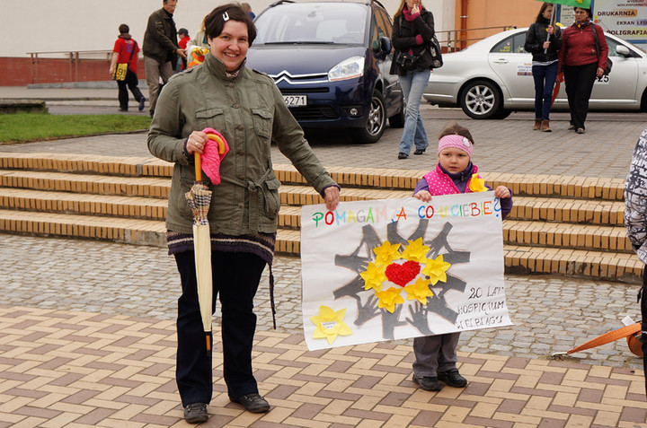 Żonkilowe Pola Nadziei zdjęcie nr 68761