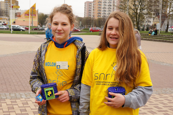 Żonkilowe Pola Nadziei zdjęcie nr 68768