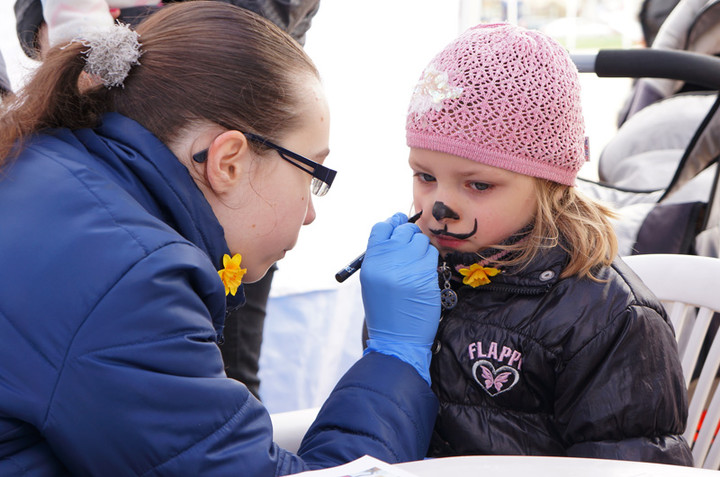 Żonkilowe Pola Nadziei zdjęcie nr 68774