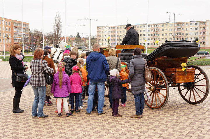 Żonkilowe Pola Nadziei zdjęcie nr 68789