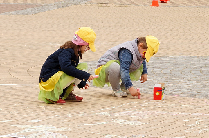 Żonkilowe Pola Nadziei zdjęcie nr 68794