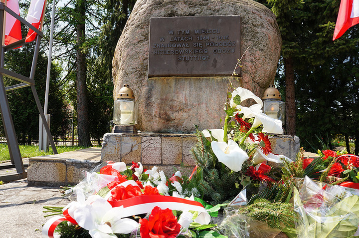 68. rocznica wyzwolenia Obozu Koncentracyjnego Stutthof - Podobóz Elbląg zdjęcie nr 69378