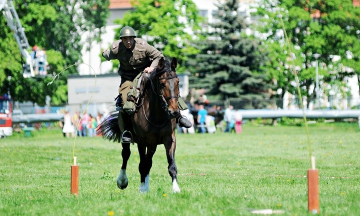 Najfajniejsze były karabiny… zdjęcie nr 69786