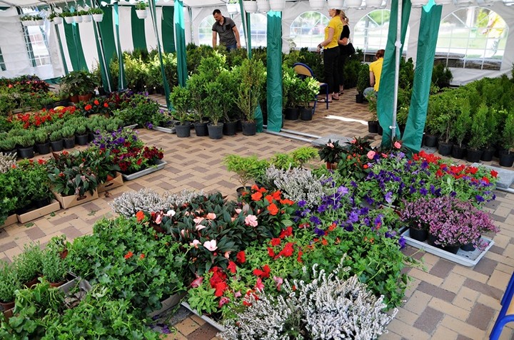 Centrum recyklingu na pl. Jagiellończyka zdjęcie nr 69959
