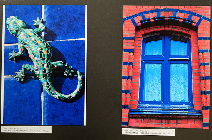 Niebieski - wystawa zdjęć konkursowych zdjęcie nr 70020