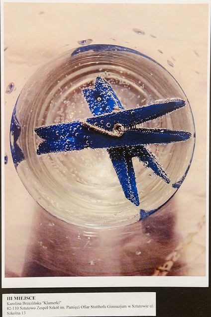 Niebieski - wystawa zdjęć konkursowych zdjęcie nr 70018