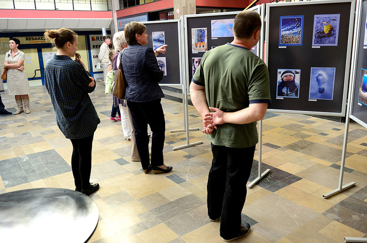 Niebieski - wystawa zdjęć konkursowych zdjęcie nr 70041