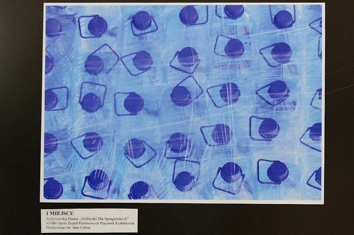 Niebieski - wystawa zdjęć konkursowych zdjęcie nr 70016