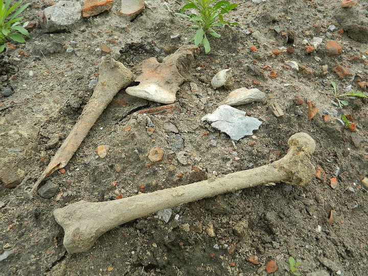 Hałdy piachu, śmieci i ludzkich szczątków zdjęcie nr 70340