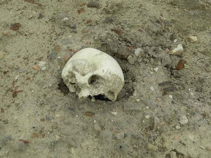 Hałdy piachu, śmieci i ludzkich szczątków zdjęcie nr 70338