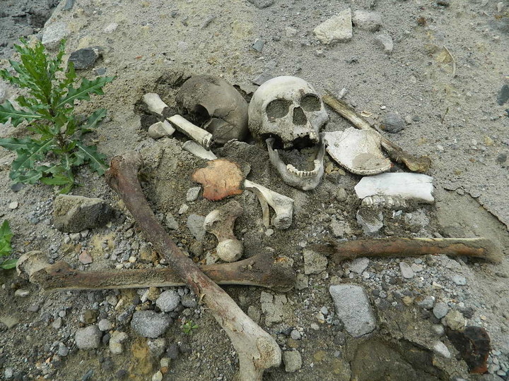 Hałdy piachu, śmieci i ludzkich szczątków zdjęcie nr 70335