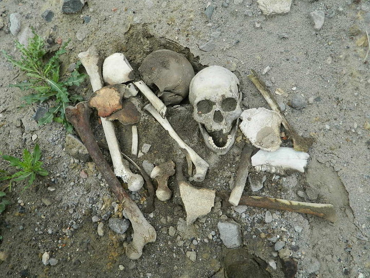 Hałdy piachu, śmieci i ludzkich szczątków zdjęcie nr 70336