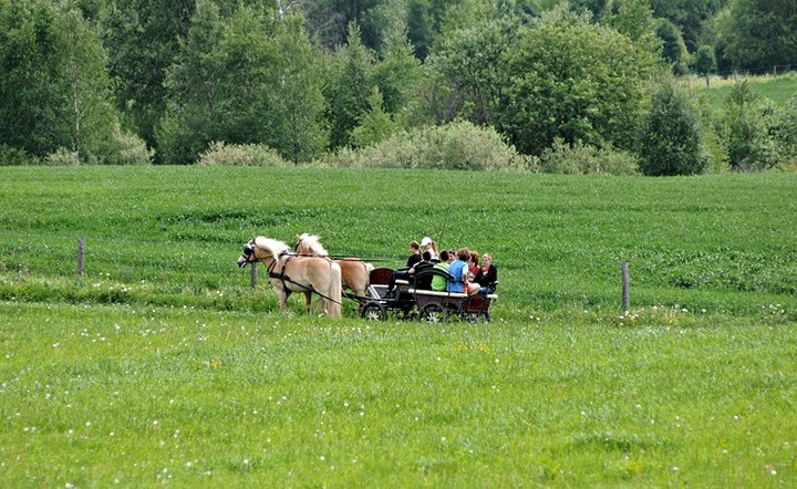 Nie różnimy się niczym, poza wielkością zdjęcie nr 70597