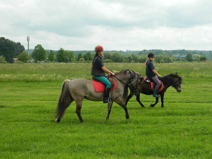 Festyn na lotnisku zdjęcie nr 70755