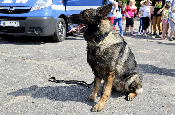 Dzień otwartych koszar w Żandarmerii Wojskowej zdjęcie nr 71456