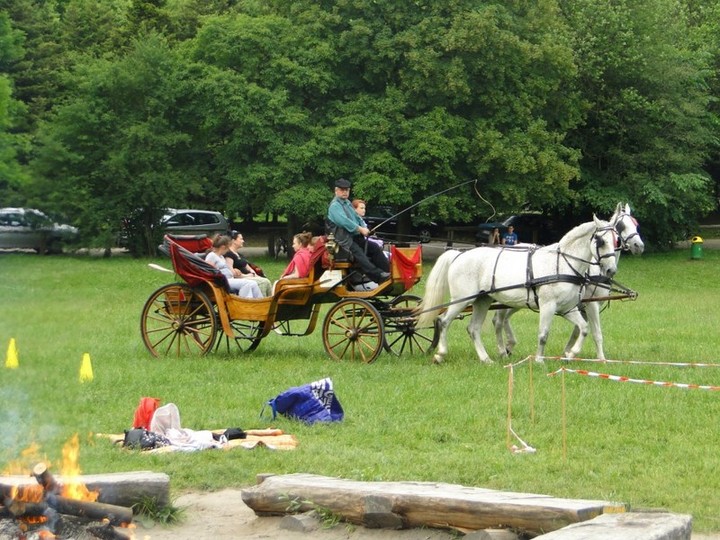 Cygańska podróż. Zrozumieć inność zdjęcie nr 71824