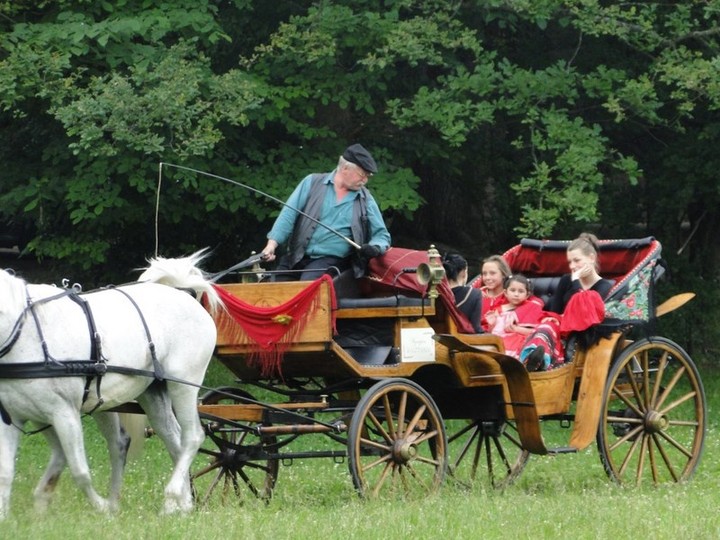 Cygańska podróż. Zrozumieć inność zdjęcie nr 71835