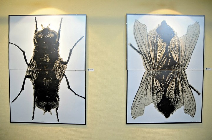 Łączy ich pasja zdjęcie nr 72012