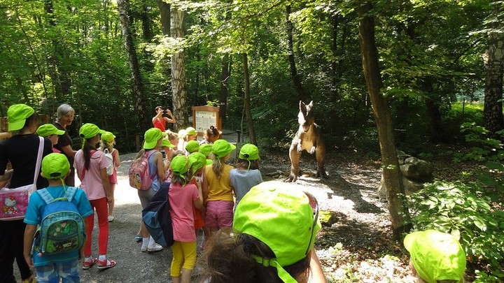 Półkolonie z Broadwayem zdjęcie nr 72895