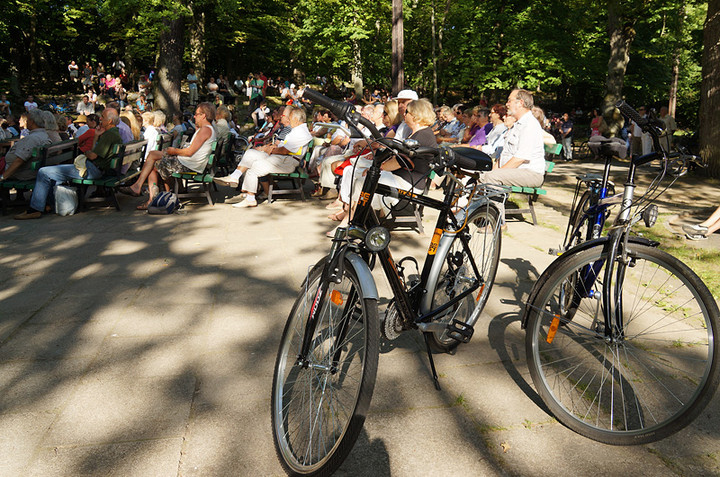 Bażantarnia zaczarowana muzyką klasyczną zdjęcie nr 73164