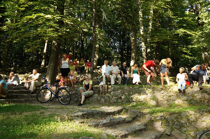 Bażantarnia zaczarowana muzyką klasyczną zdjęcie nr 73148