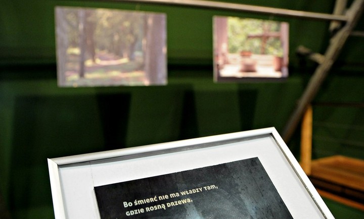 O człowieku, który las stroił zdjęcie nr 73608