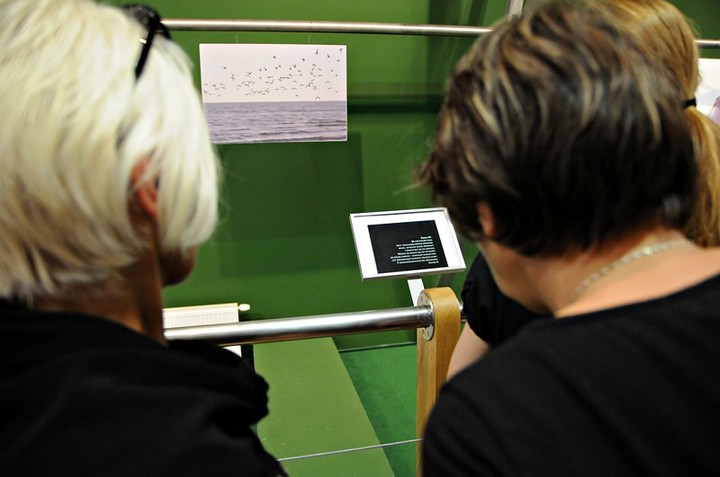 O człowieku, który las stroił zdjęcie nr 73610