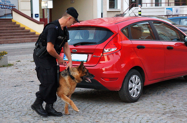 Fałszywy alarm bombowy na Rybackiej zdjęcie nr 74691