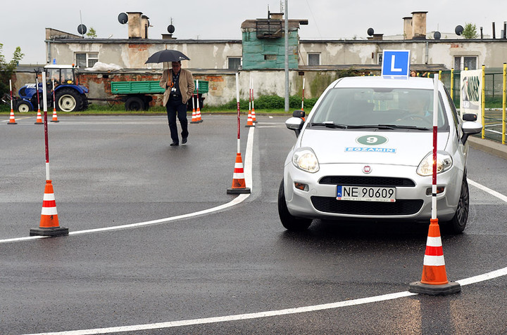 Nie tylko dla kierowców zdjęcie nr 75075