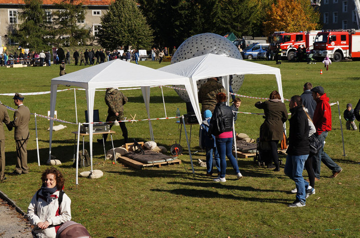 Są gotowi na wszystko, a dziś świętowali zdjęcie nr 76517