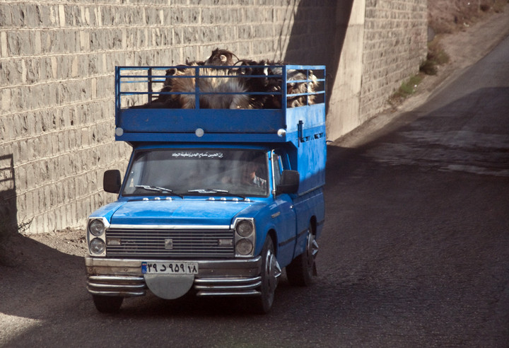 Irańska epopeja autobusowa zdjęcie nr 76678