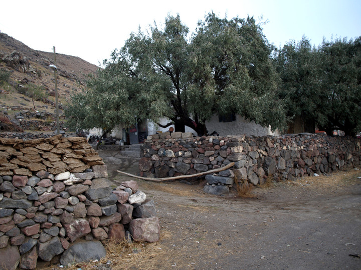 Znowu w siodle! zdjęcie nr 77833