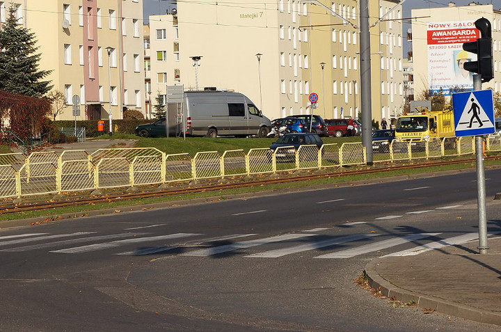 "Późne zielone"? zdjęcie nr 77898